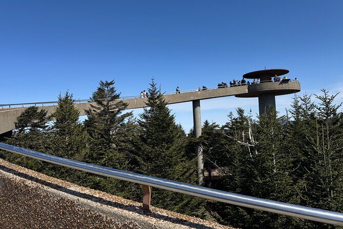 Kuwohi Mountain Great Smoky Mountains Tour - Transportation and Group Size