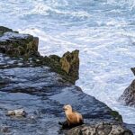 LA Day Trips to Casinos, Palm Springs, San Diego, Santa Barbara - Exploration of Destinations