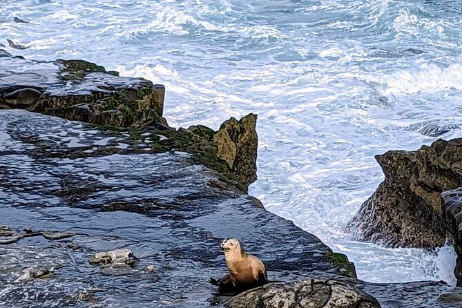 LA Day Trips to Casinos, Palm Springs, San Diego, Santa Barbara - Exploration of Destinations