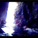 La Jolla Kayak and Snorkel Tour - Good To Know