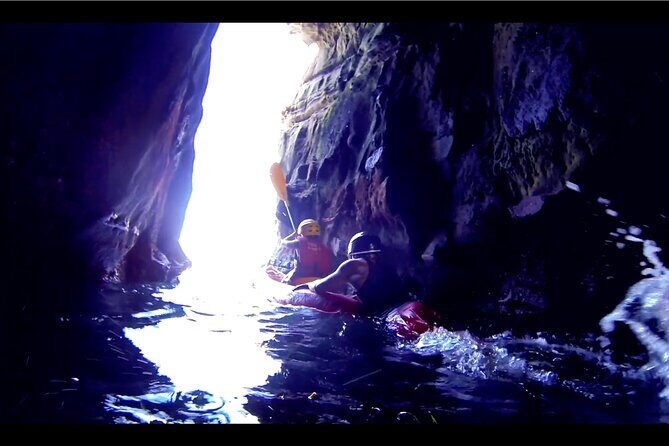 La Jolla Kayak and Snorkel Tour - Good To Know