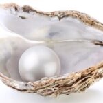 La Paz: Pearl Farm Experience and shop - What We Love About This Tour