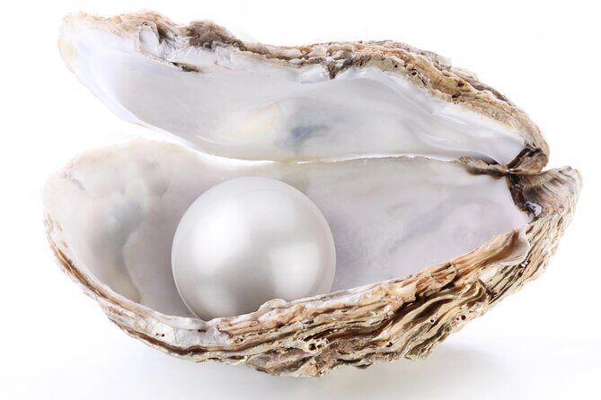 La Paz: Pearl Farm Experience and shop - What We Love About This Tour