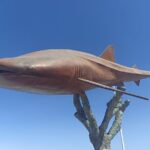 La Paz Private Treasure Hunt - Final Thoughts