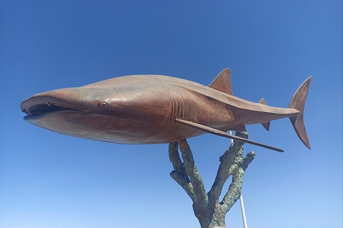 La Paz Private Treasure Hunt - Final Thoughts