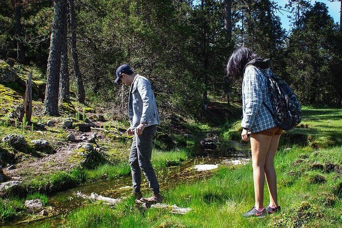 La Pirámide Park // WALK AND DISCOVER THE PARK - Who Should Consider This Tour?