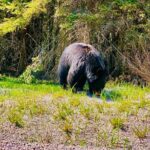 Lake Louise and Moraine Lake Exclusive Evening Private Tour - Why This Tour Is Worth It