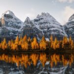 Lake Louise, Emerald Lake and Johnston Canyon Tour - Transportation and Comfort