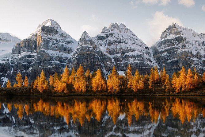 Lake Louise, Emerald Lake and Johnston Canyon Tour - Transportation and Comfort