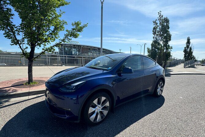 Lake Louise: Hassle-Free Private Transfer to Calgary YYC Airport - Luggage Handling and Convenience