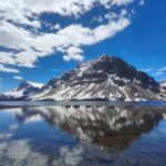 Lake Louise, Moraine Lake, Peyto Lake, Crowfoot Tour from Banff - Who Will Love This Tour?