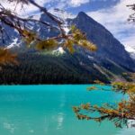 Lake Louise, Moraine Lake, Peyto Lake, Crowfoot Tour from Calgary - Practical Aspects and Value