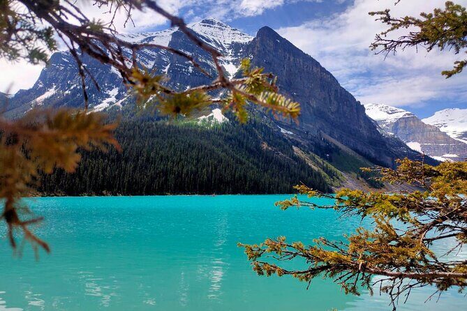 Lake Louise, Moraine Lake, Peyto Lake, Crowfoot Tour from Calgary - Practical Aspects and Value
