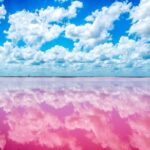 Las Coloradas - Rio Lagartos Boat Tour: Nature’s Marvels