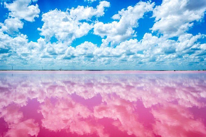 Las Coloradas - Rio Lagartos Boat Tour: Nature’s Marvels