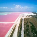 Las Coloradas Pink Lake & Rio Lagartos Guided Tour - The Reviews Tell the Real Story