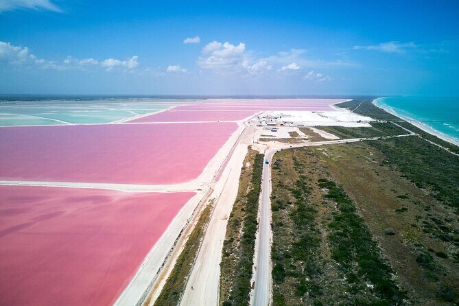 Las Coloradas Pink Lake & Rio Lagartos Guided Tour - The Reviews Tell the Real Story