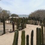 Las Labradas Archaeological Site - Nature and History Tour - In-Depth Look at the Experience