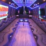 Las Vegas Karaoke Party Bus Private Tour - What Is the Las Vegas Karaoke Party Bus Private Tour?