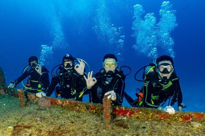 Learn diving with the Open Water course PADI ! - Why Choose the 3-Day PADI Open Water Course in Cozumel?
