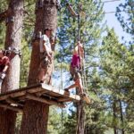 Ledgewood Adventure Course - The Sum Up