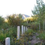 Leisure Hike - East Aspen Hunter Creek - A Step-by-Step Look at the Itinerary