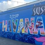Little Havana the Cuban Adventure - Practical Details and What to Expect