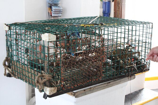 Lobstering Eco Tour - Final Thoughts