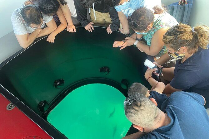 Long Beach Glass Bottom Boat Eco-Tour - An In-Depth Look at the Eco-Tour Experience