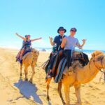 Los Cabos 3 in 1 Adventure: Camel Ride, Lunch and Arch Boat Tour - What Makes This Tour Stand Out?