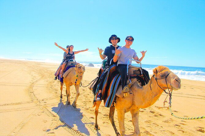 Los Cabos 3 in 1 Adventure: Camel Ride, Lunch and Arch Boat Tour - What Makes This Tour Stand Out?