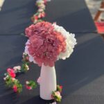 Luxury Beach Bonfire and Picnic Dinner at Town Line Beach - Authentic Insights from Reviews