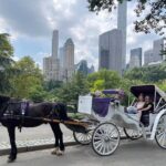 Luxury Horse and Carriage Tours in Central Park - What to Expect from the Central Park Horse and Carriage Tour