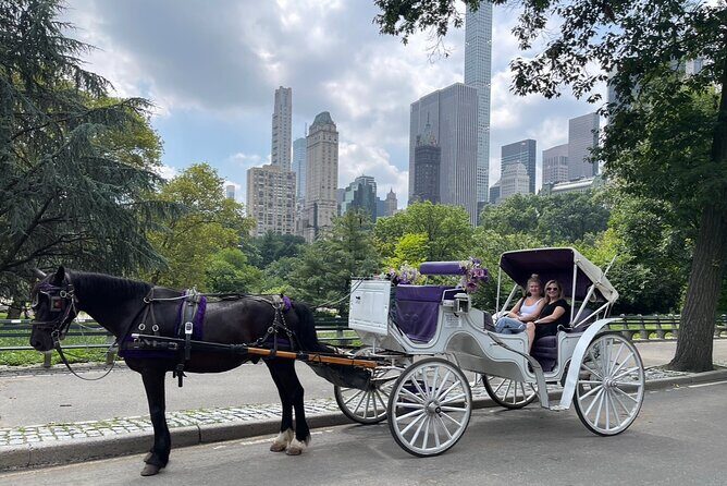 Luxury Horse and Carriage Tours in Central Park - What to Expect from the Central Park Horse and Carriage Tour