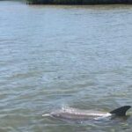 Magic of Nature Guided Kayak Eco Tour - Practical Details for Visitors