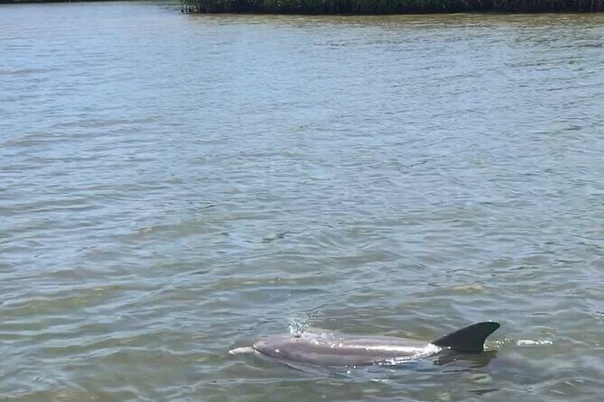 Magic of Nature Guided Kayak Eco Tour - Practical Details for Visitors