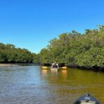 Manatees, Grasslands and Mangroves kayak Tour (Small Group Tour) - Who Will Love This Tour?