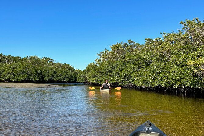 Manatees, Grasslands and Mangroves kayak Tour (Small Group Tour) - Who Will Love This Tour?