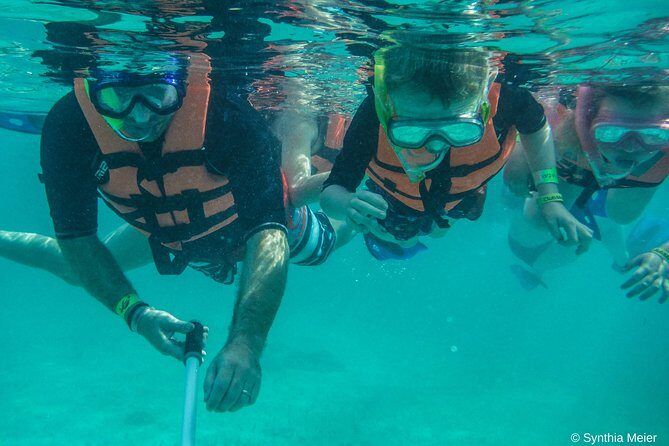 Marine Turtle Snorkeling Private Tour - A Deep Dive into the Marine Turtle Snorkeling Private Tour