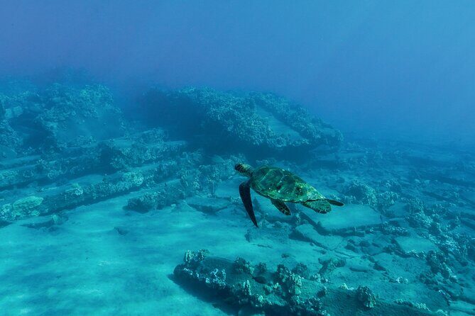 Maui Snorkeling Boat Tour to Turtle Town Aboard Quicksilver - The Real Experience: Pros and Cons