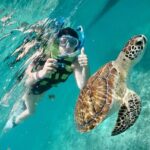 Mayan snorkeling (Akumal-Cenote-Caverna) - Visiting Akumal: Swimming with Sea Turtles
