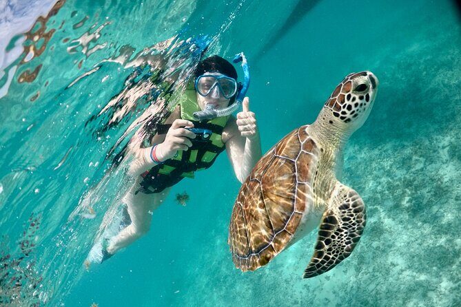 Mayan snorkeling (Akumal-Cenote-Caverna) - Visiting Akumal: Swimming with Sea Turtles