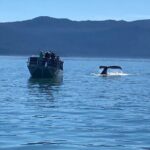 Mendenhall Glacier Waterfall and Whale Watching Tour - Value for Money: Is It Worth $199?
