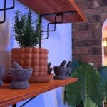 Mexican Mixology Workshop with Panoramic View in Coyoacán - In The Sum Up