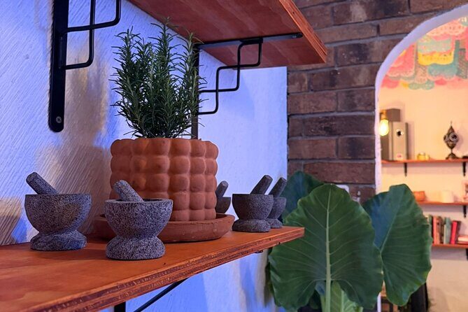 Mexican Mixology Workshop with Panoramic View in Coyoacán - In The Sum Up