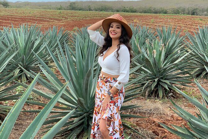 Mezcal Food Tasting Tour with Lunch Included - The Experience in Detail: What You Can Expect