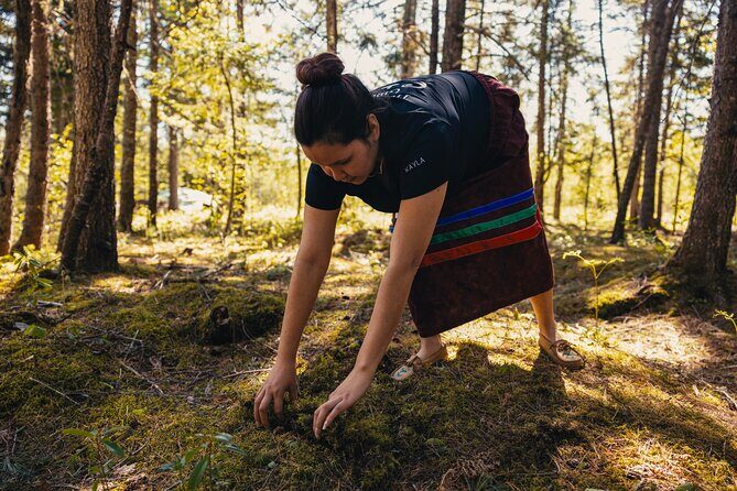 Mi'kmaq Heritage Path Tour - Why This Tour Stands Out