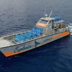 Molokini & Turtle Adventure: Small Group from Ma'alaea Harbor - Tips for Making the Most of Your Day