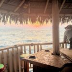 Monday & Thursday Nights Harbor Lights Tiki Tour - Detailed Breakdown of the Itinerary