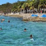 Money Bar Day Pass with Snorkel & Mexican Lunch - The Sum Up